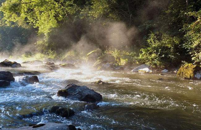 Village de Gite - La Cascade - Foto 19