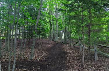 Seasonal Bliss Ski-Hike-Relax - Photo 27