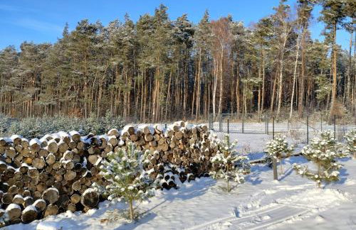 Domek Na Winklu - Foto 51