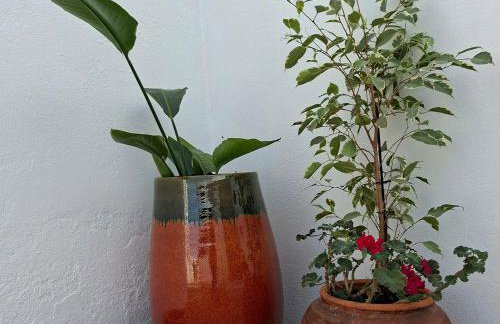 A Casa da avó Custodinha - Foto 3