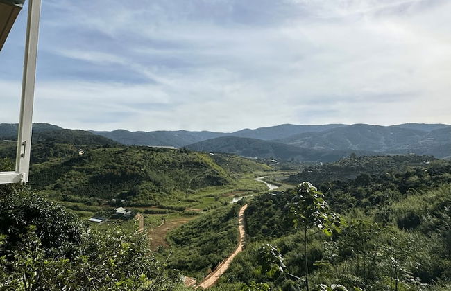 Midori Coffee Farm - Photo 6