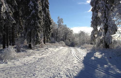 Haus Schnurbus - Foto 41