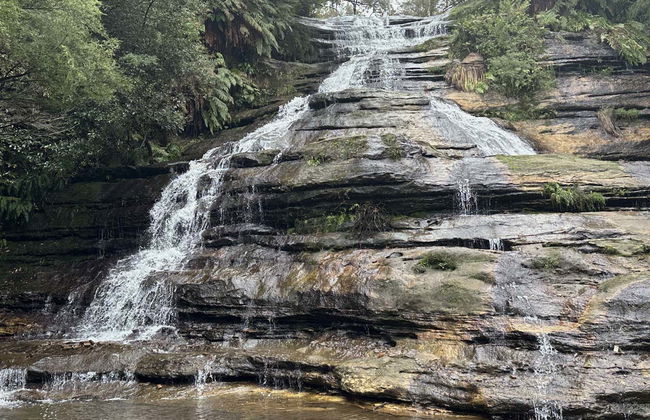 Blue Mountains e Scenic World + Sydney Zoo - Foto 12