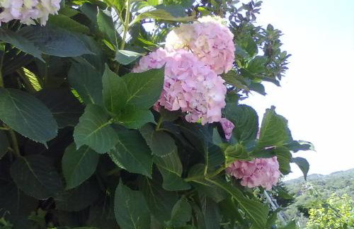 Pelion Orama - Foto 45