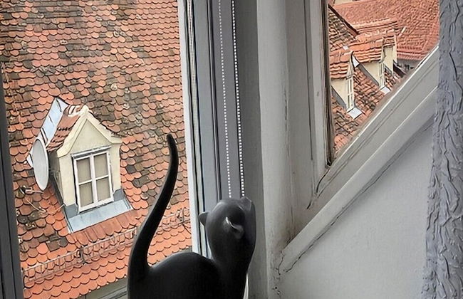 Carillon by BestChoice - Parking Option - Photo 24