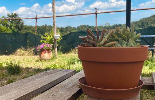 Cascina Il Girasole Rosso - Foto 42