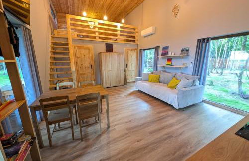 Brzozowe Siedlisko Chechłówka - Foto 11