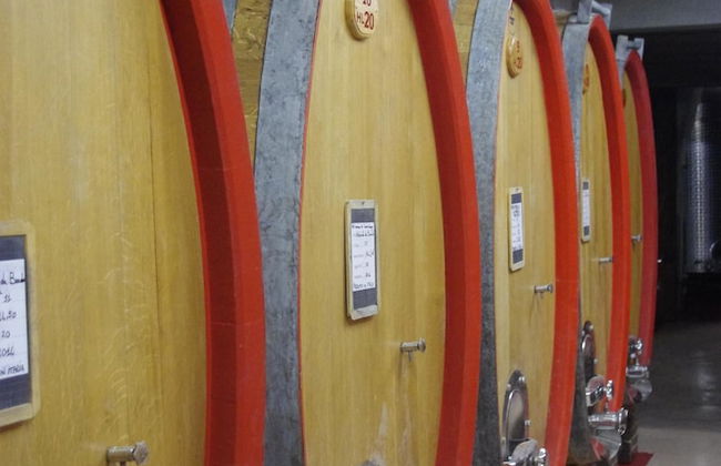 Agriturismo i Grappoli - Photo 34