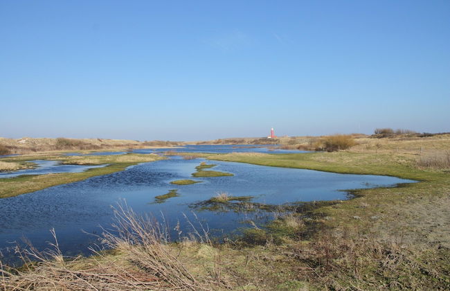 Pet-friendly Texel Escape - Foto 17