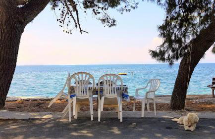 Yard of Epicurus - Η Αυλή του Επίκουρου - Foto 33