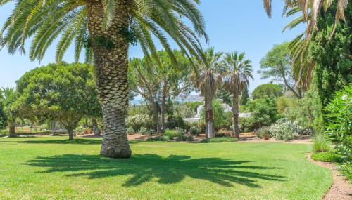 Casa das Flores - Foto 5