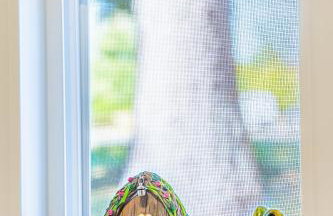 Rainforest Tiny Home Retreat Enchanted - Foto 36