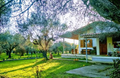 Nafpaktos cottage by the sea for travelers and dreamers! - Foto 14