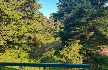 Forest cottage top of the world - Foto 20