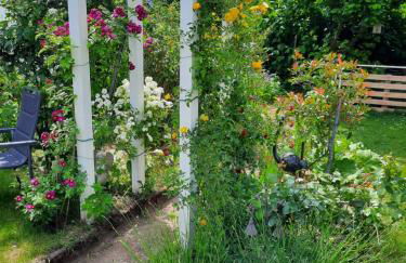 Neugärten - Foto 14