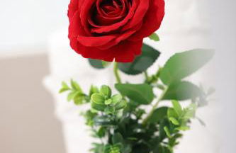 Spacious 3-Story Retreat with Rooftop Terrace and Modern Amenities - Foto 88