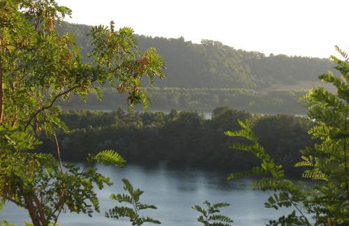 Passiflora House - Basilicata - Photo 21