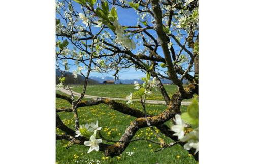 in the holiday home Vorbergblick - Foto 18