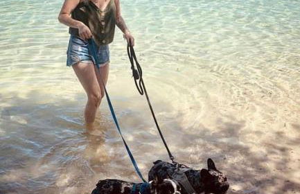 Maison des Larris - proche Aéroport - navette Gare - Foto 53