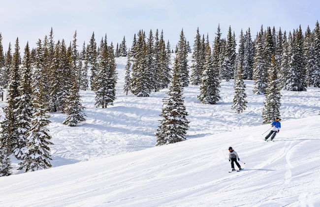 Aspenwood - CoralTree Residence Collection - Photo 72