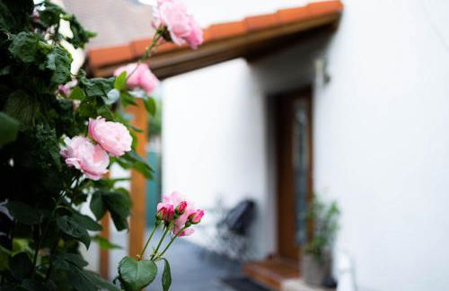 Anca's Haus - Foto 10