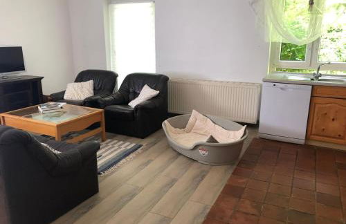 Ferienwohnungen am Fuße des Schlosses - Photo 1