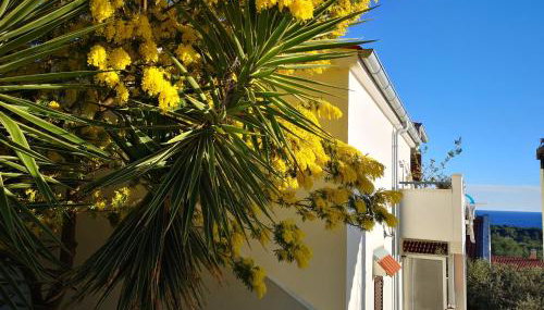 Apartments with parking space Rukavac, Vis - 8897 - Foto 2