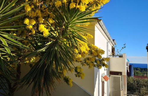 Apartments with parking space Rukavac, Vis - 8897 - Foto 2