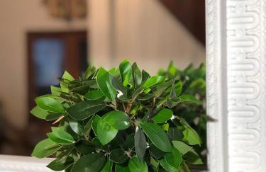 Villa Smaragdi-Despoina - Photo 13