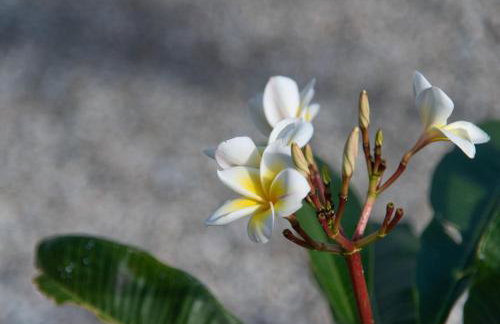 Nireides villas 'TOP DESTINATION' - Foto 62