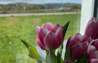 No 2 The Cairns, Unwind in Style - Foto 5