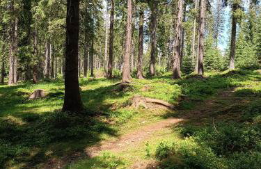 Strażnica Pod Lasem - Foto 76
