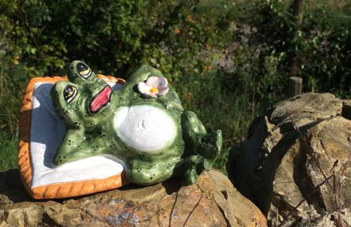 Casetta Tartuchino - Foto 1