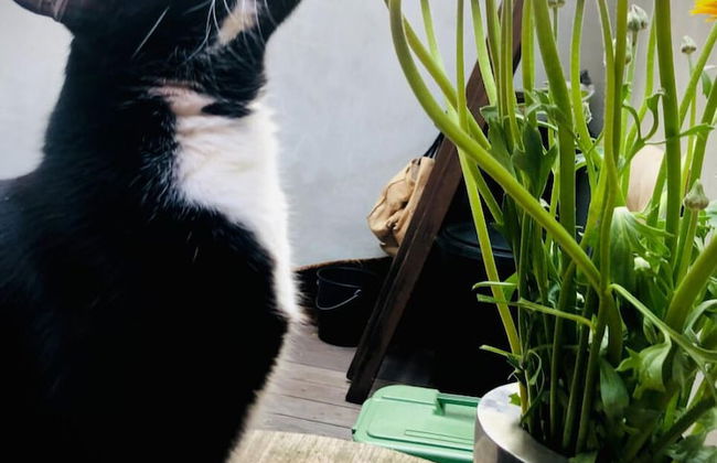 Agelandkaai.be - Photo 67