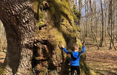 URANDIA Alojamiento Rural - Foto 34