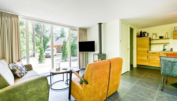 House in Reutum With Jacuzzi & Forest View - Foto 3, Wohnzimmer