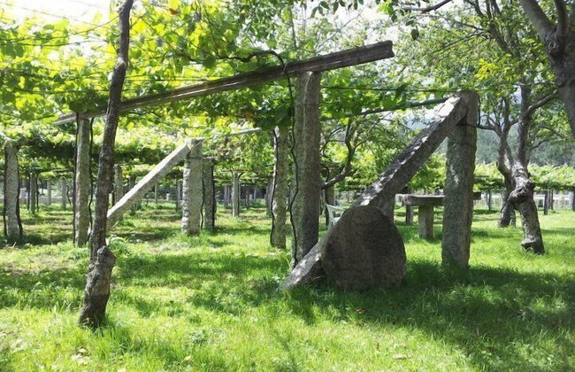 Os Areeiros - Foto 20