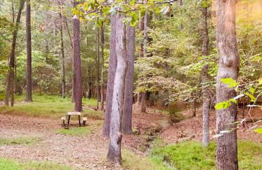 Dome Hideaway on 5 Acres-close to Carbarro & CH - Foto 17