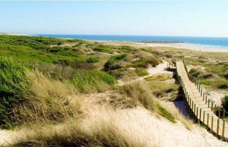 Barca Golf House - Foto 49