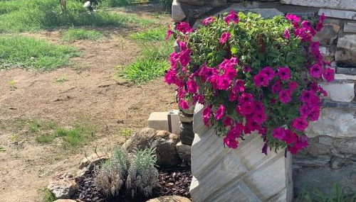 Casa in pietra in antico borgo vicino al centro - Foto 5, Garden, Garden view