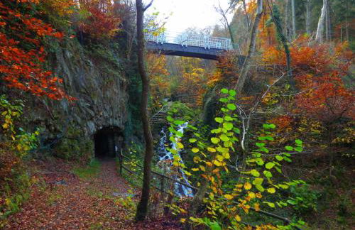 Ferienwohnungen Schenk Schmitz - Photo 36
