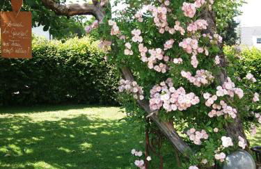 Casa Toscana - Photo 25