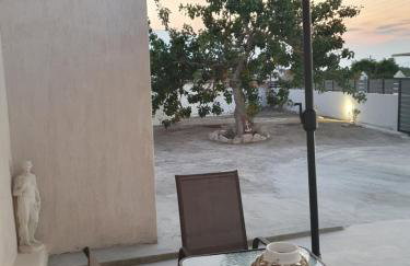 Da Vinci kavouropetra - Foto 49