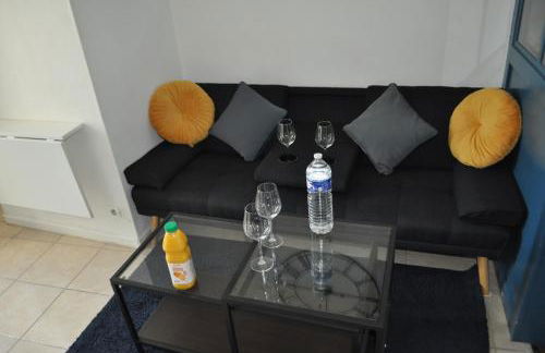 Cosy bleu proche arena JO (Bercy), RER C, métro 7 - Foto 24