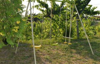 Family Secrets Douro - Foto 47