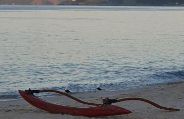 Andorinhas "Mini casa de hóspede" - Foto 49