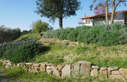 Tenuta Le Mandorlaie, Agriturismo in Scansano - Foto 28