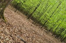 Ferienwohnung in Arnsberg mit Süd-Terrasse - Foto 33