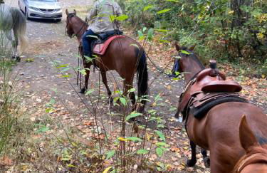 Rainier view farm stay cabin - Foto 12