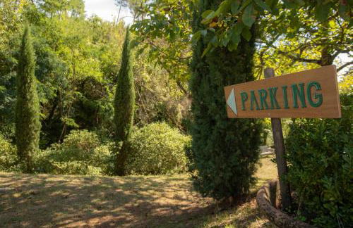 Monteaperto - Foto 21